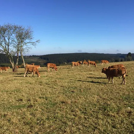 샬레 De Charme, Le 